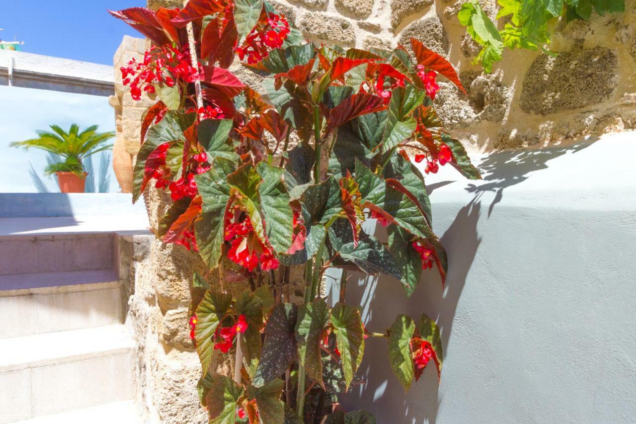 Rhodes City Colours - Old Town - Studios מראה חיצוני תמונה